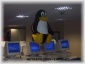tux with bsod 01.jpg - 
