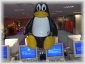 tux with bsod 05.jpg - 
